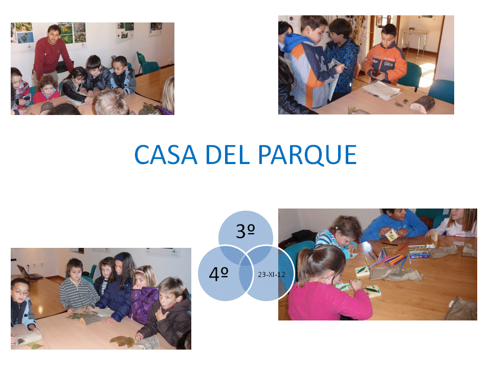 Casa del Parque1